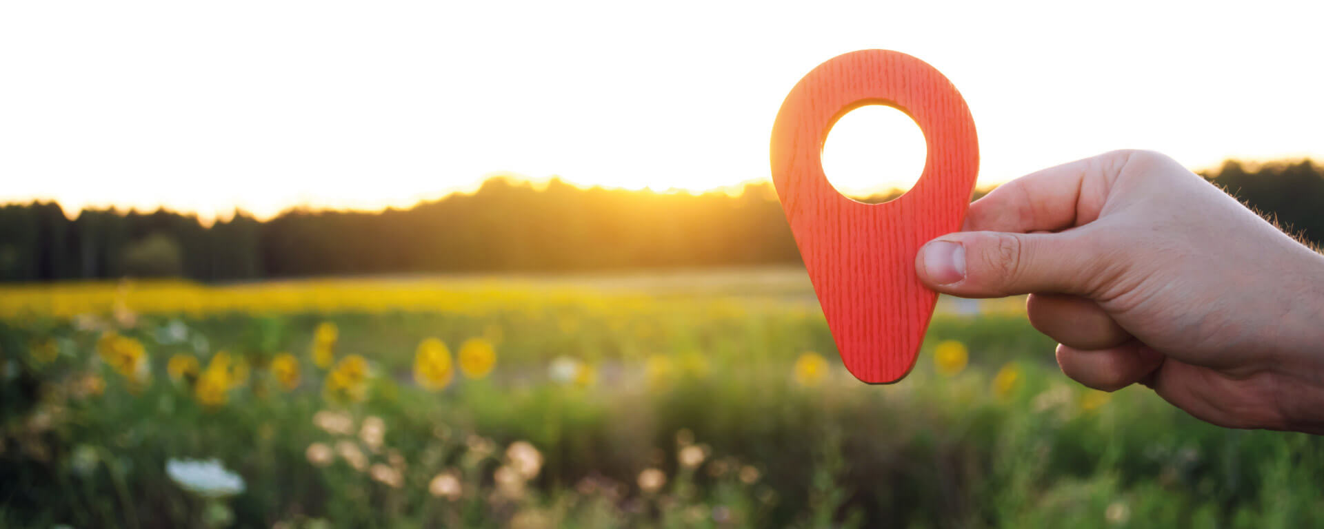 Hand holding location sign in front of a flower meadow at dusk